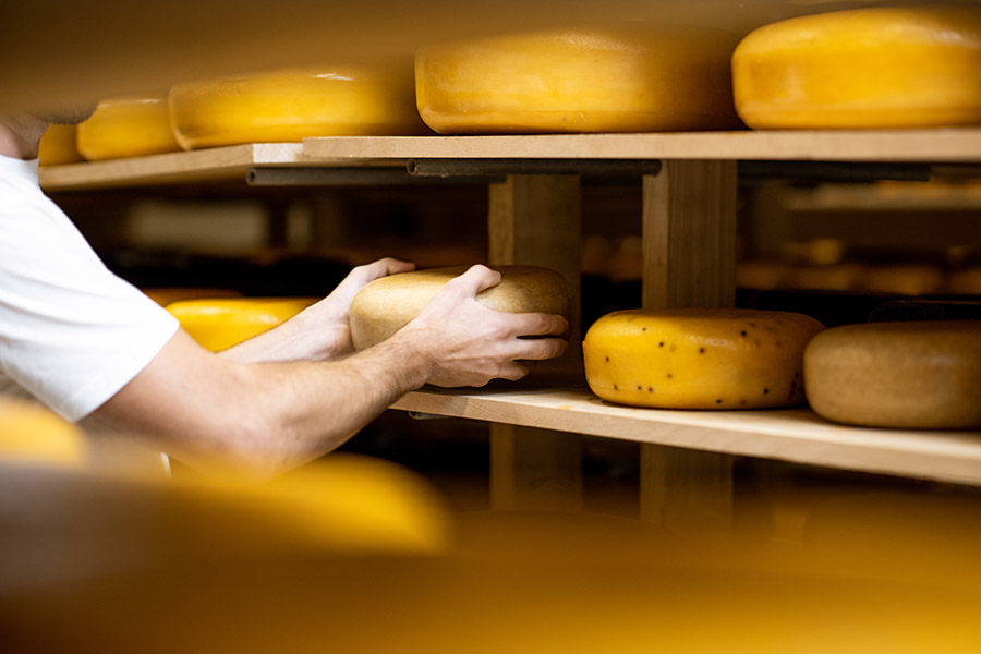 Käse der Hofkäserei Haindl